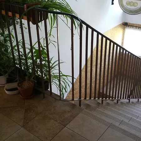 运动员洛克旅馆 公寓