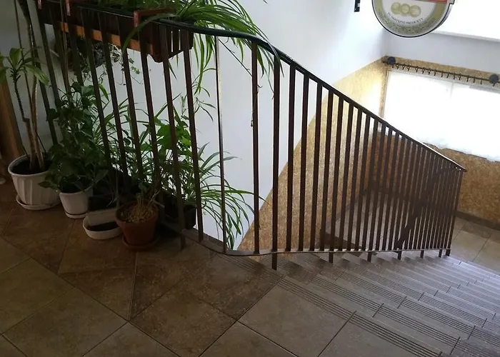 Dom Sportowca Roko Apartamento